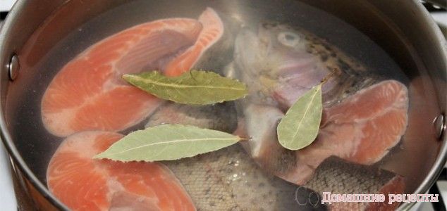 Как варить рыбу?